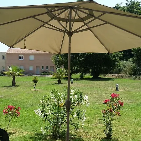 Fior 50