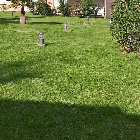 Fior 50 Σπίτι διακοπών Santa-Maria-Poggio (Corsica)