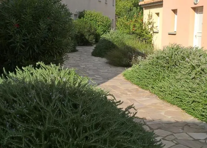 Fior 50 * Santa-Maria-Poggio (Corsica)