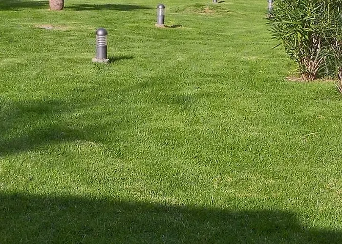 Fior 50 Hébergement de vacances Santa-Maria-Poggio (Corsica)